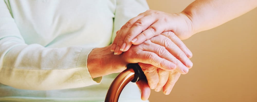 your-top-palliative-care-questions-answered